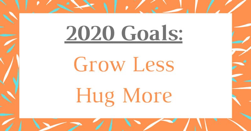 2020 goals banner