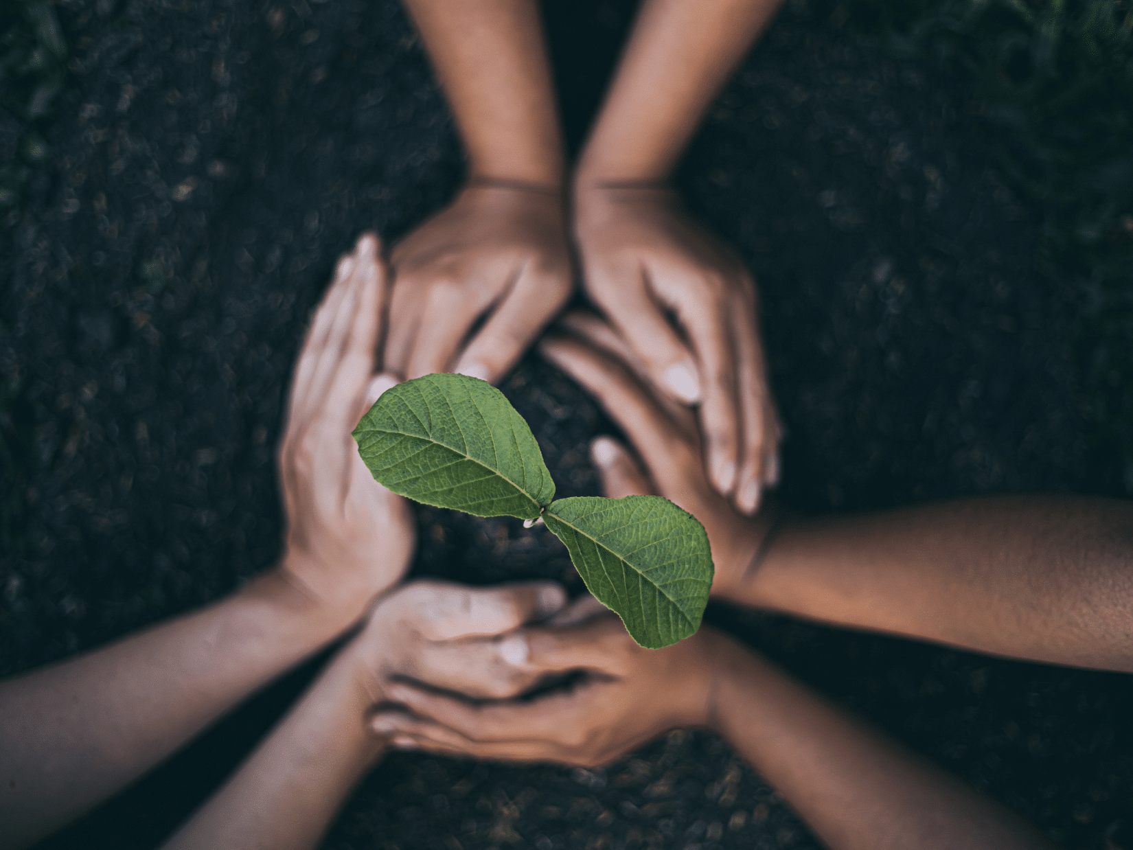 How to Make Your Experiential Marketing Earth-Friendly